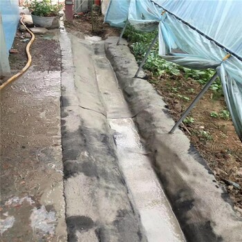 蚌山区防水毯-水泥毯,混泥土水泥毯