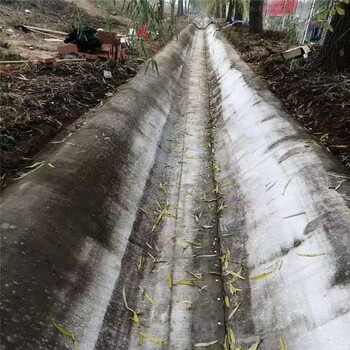 博尔塔拉蒙古自治州水泥毯厂家/水凝混凝土毯/水泥毯用途,帆布水泥毯