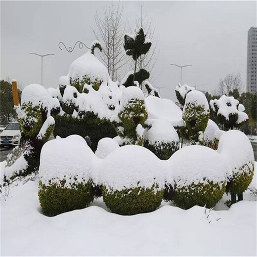 大型綠雕景觀(guān),設計公司