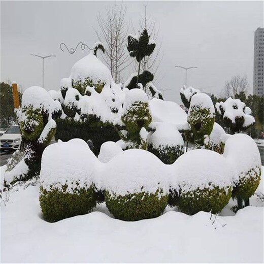 冀州市春节绿雕图片