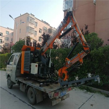 西雙版納綠化帶邊坡打草機割草機剪枝機