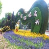句容市春节绿雕设计公司