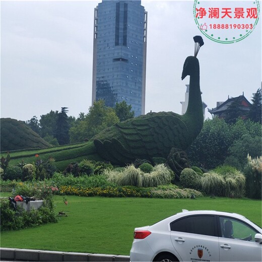 尚义县网红拍照景观绿雕小品造型绿雕厂家