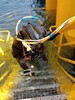 安徽潛水施工,水下攝像服務