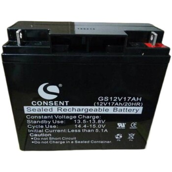CONSENT光盛蓄电池GS12V17AH医疗设备UPS后备电源
