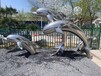 蚌埠不锈钢海豚雕塑价格