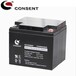 CONSENT光盛蓄电池GS12V40AH38AH铅酸免维护UPS不间断电源