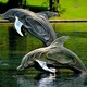 动物海豚雕塑图