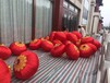 西安三兆村节日花灯样式
