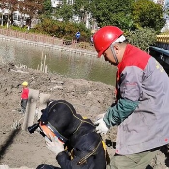 濟南水下打撈,水下探摸團隊