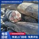 湘阴县电线回收图