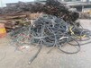 汕尾哪里有电线电缆回收多少钱一斤