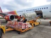 陕西国际空运米仓供应链出口跨境电商服务市场