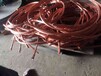 中山东升电线电缆回收价格
