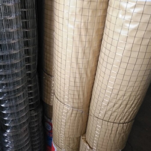 工地粉墙钢丝网,0.6mm粗,扬州铁丝网