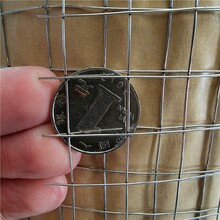 外墻保溫鍍鋅鋼絲網-建筑粉墻抹灰改拔鋼絲網0.5mm