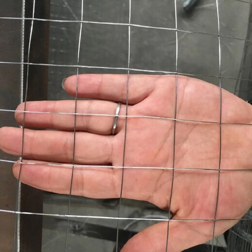 外墙抹灰镀锌电焊网,0.6mm粗,无锡铁丝网