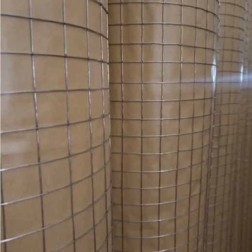 工地粉墙钢丝网,1.5cm孔,宿州铁丝网