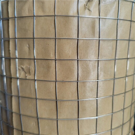 工地粉墙镀锌钢丝网,0.6mm粗,南通铁丝网