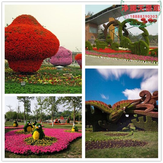 吳中區(qū)佛甲草植物綠雕報價