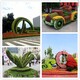 平泉县广场车站路边植物绿雕制作厂家样例图