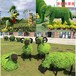 鹿泉佛甲草植物绿雕图片