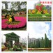 忻府区佛甲草植物绿雕图片