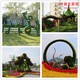 金湖縣佛甲草植物綠雕圖片產(chǎn)品圖