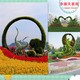 平魯區(qū)綠雕廠家凈瀾天景觀圖