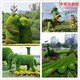 蓉城佛甲草植物绿雕图片图