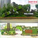 鸡泽县国庆绿雕设计公司,净澜天景观,绿雕设计制作安装
