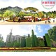 郴州2023国庆绿雕花篮生产厂家图