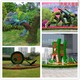 金湖縣佛甲草植物綠雕圖片圖
