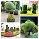 如东县佛甲草植物绿雕设计公司产品图