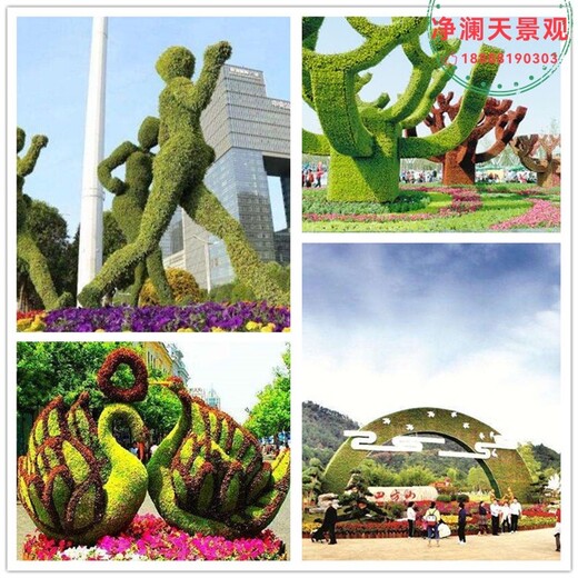 安平县佛甲草植物绿雕图片