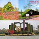 南皮县广场车站路边植物绿雕图片图