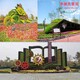 豐縣廣場車站路邊植物綠雕新款圖片樣例圖