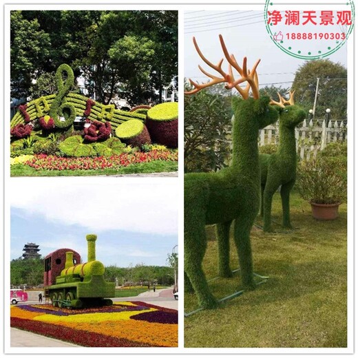 太谷县广场车站路边植物绿雕设计公司