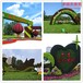 青山湖佛甲草植物绿雕图片