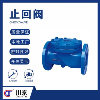 重庆正规川泰止回阀结构