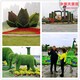 元寶山區(qū)廣場(chǎng)車站路邊植物綠雕制作廠家展示圖