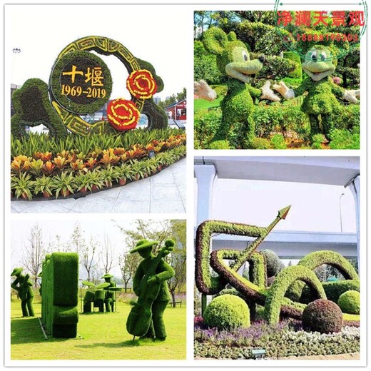 沁水县广场车站路边植物绿雕图片