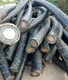 廢舊電纜回收公司圖