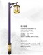 成都路燈廠家圖