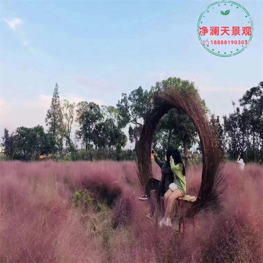 海陵區(qū)油菜花節(jié)稻草工藝品圖片