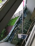 長沙下懸窗幕墻破裂玻璃更換丨高空作業