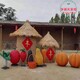 鄉寧縣稻草工藝品凈瀾天景觀原理圖