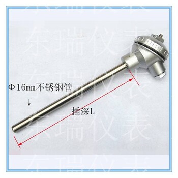 江蘇東瑞WRN-130無固定裝置裝配式熱電偶