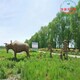 稻草農(nóng)耕工藝品樣例圖