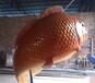 青海动物鲤鱼雕塑